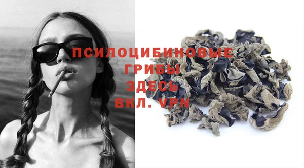 jwh Бородино