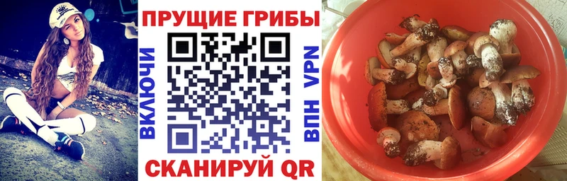 Галлюциногенные грибы Cubensis  Невель 